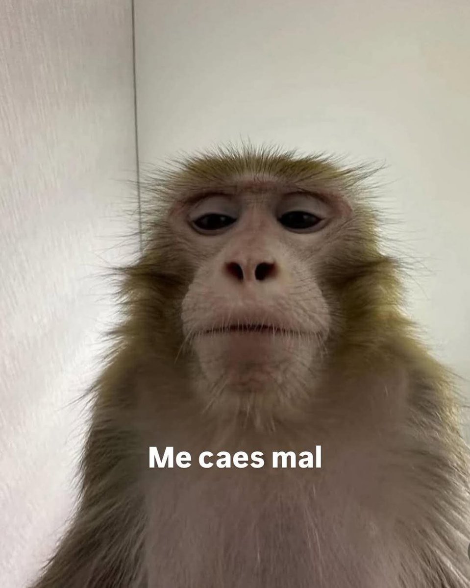 Equidistante7's tweet image. Uff pasar por aquí con síndrome de abstinencia tabaquil no es buena idea. Me caéis mal todos. Ale, en voy.