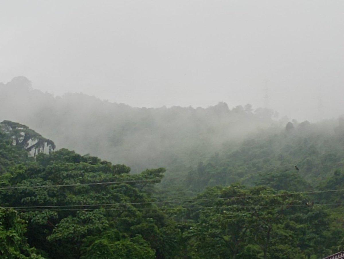 En invierno, #CerroAzul se transforma.
La neblina bajando x el cerro y el verde intenso nos regalan paisajes dignos de un páramo andino, pero con el calorcito Guayaco. ¡Un espectáculo visual que pocos conocen! ☁️🌿
<a href="/inesmanzano/">Ines Manzano</a> <a href="/EcuadorMAE/">Ministerio de Ambiente y Energía</a>
#BosqueProtectorCerroAzul