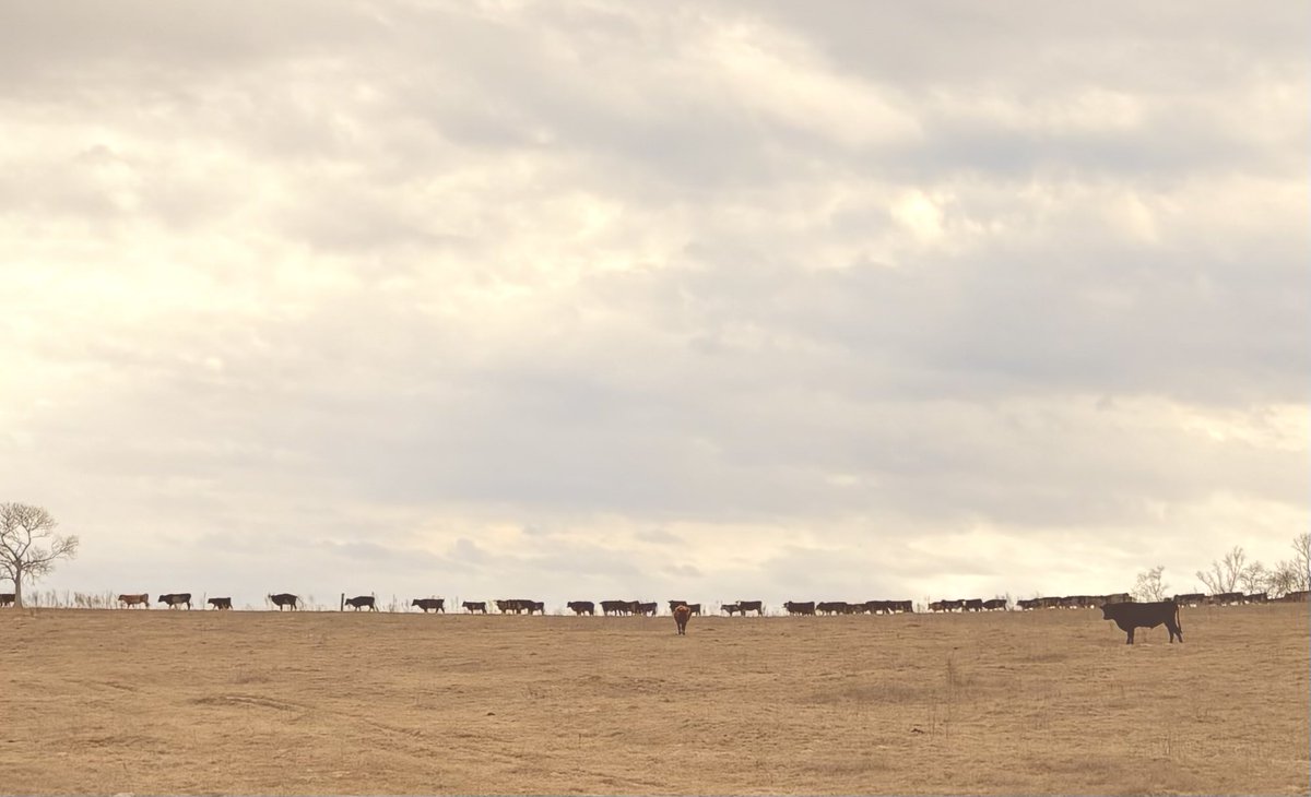 Long line for the lunch lady…. I’m the lunch lady…🤠