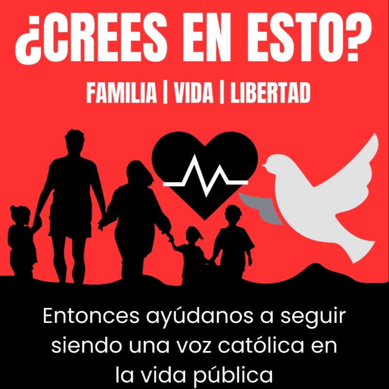 IPS_Esp's tweet image. ¿Defiendes la familia?
¿Defiendes el derecho a vivir?
¿Defiendes la libertad religiosa? 

Entonces, defendemos los mismos valores ¡Síguenos para que nuestra voz llegue más lejos! ¡Estamos cambiando el mundo!