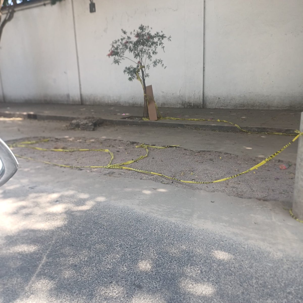 PericoDS tweet media