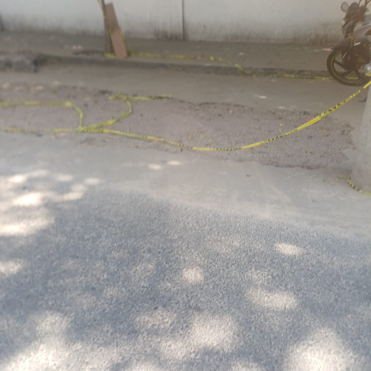 PericoDS tweet media