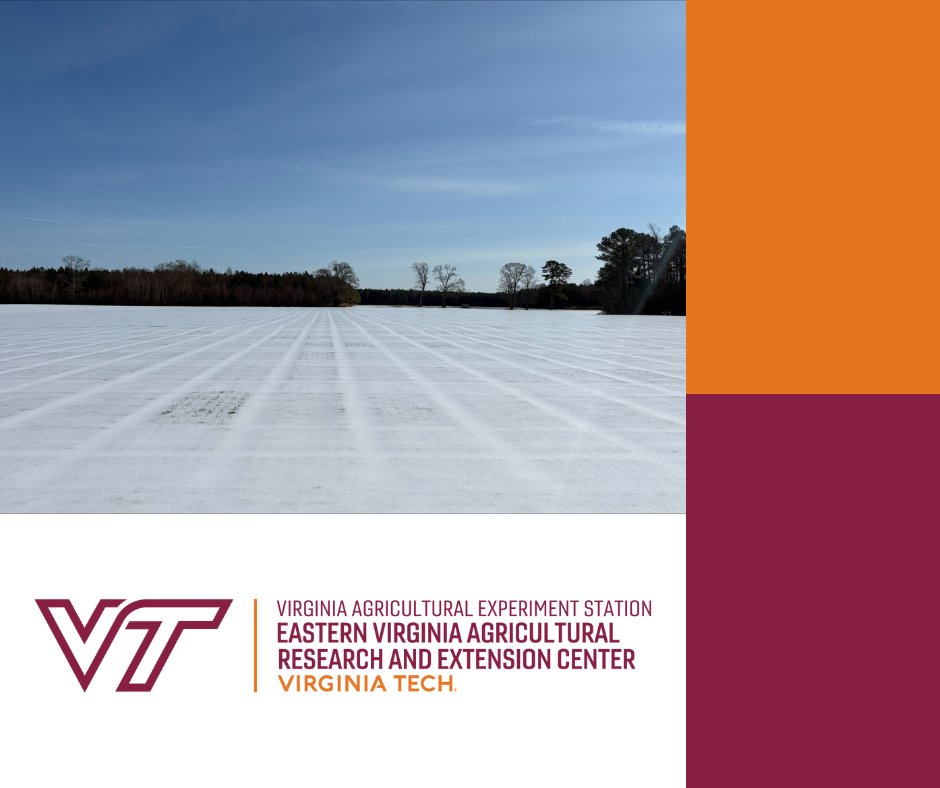 Eastern Virginia Ag Research & Extension Center tweet media