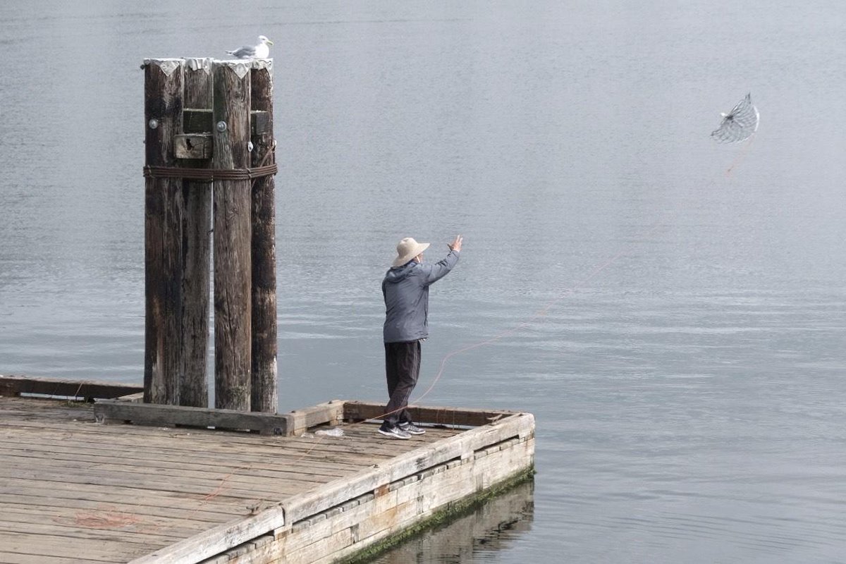 LiterASIAN Festival tweet media