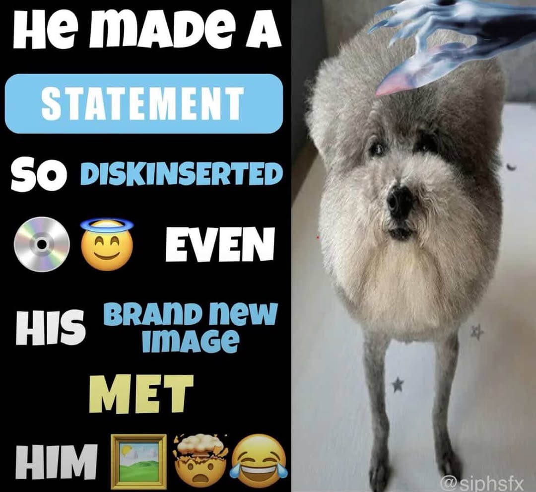 Ivy 💿🏳️⚧️ tweet media