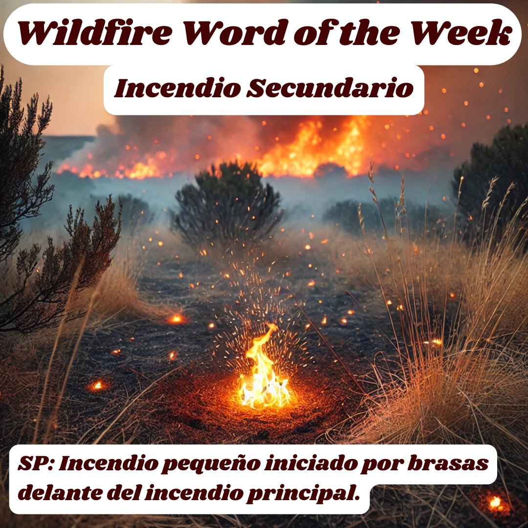 WUI Communities tweet media