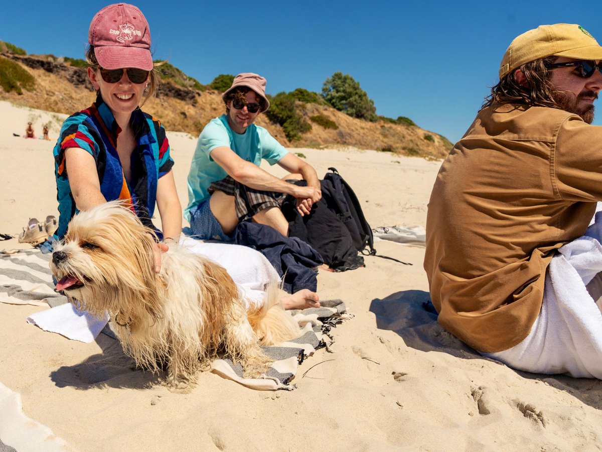 Vance Joy tweet media