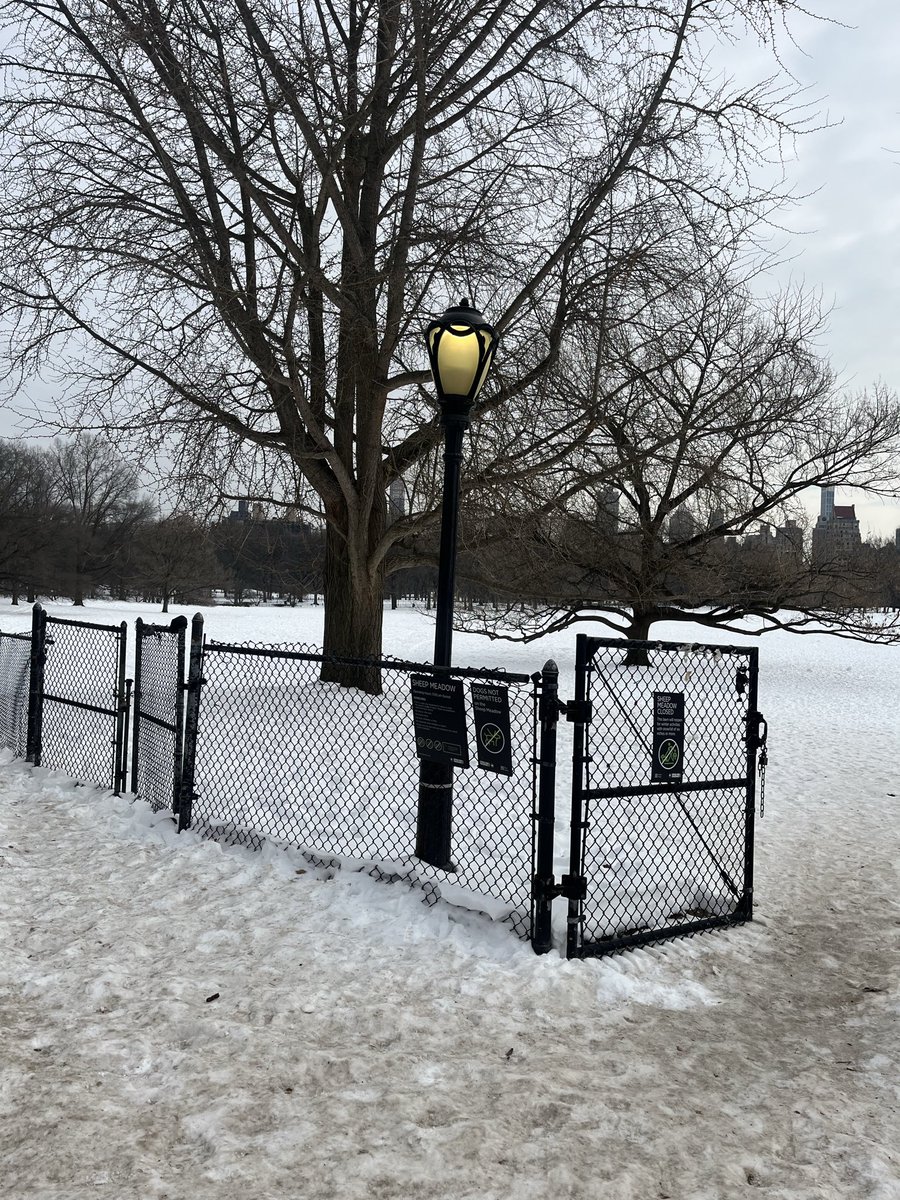 CoryMiller18's tweet photo. This is Central Park. 9 days after the storm and there is still snow on the ground! We’re only in month 2 and Mamdani is proving he is incapable of handling the job. Disgusting! https://t.co/BlLWs1Bb2O