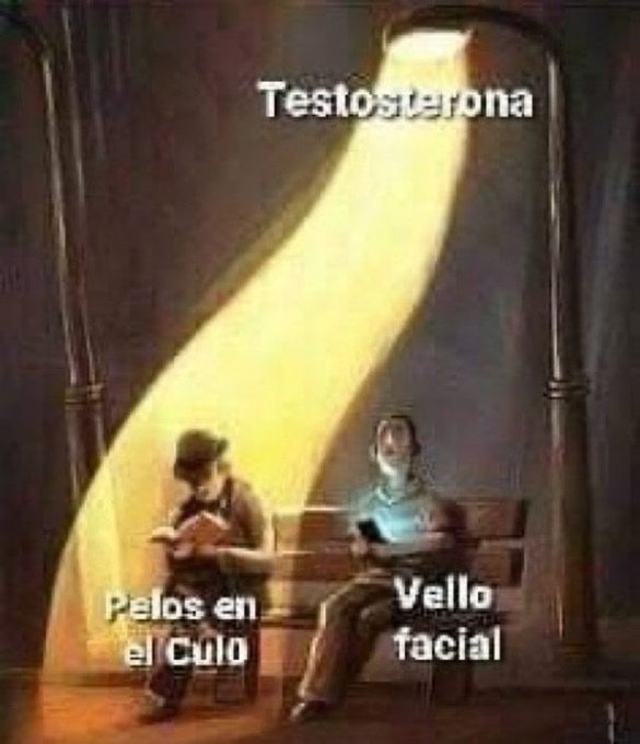 euskal herria fumar (@euskadifumar) on Twitter photo 