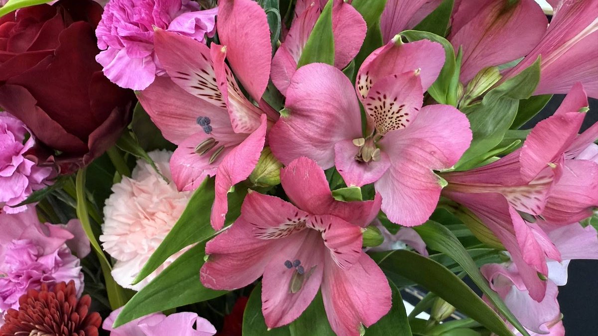 【神人 今日の一言2026.2.4】
〜靈性相応〜

どのような好みなのか？
どのような思想なのか？
どのような言動なのか？
どのような所作なのか？
どのような人間関係なのか？
どのような生き方なのか？

すべては
靈性相応なのです

靈性とは
その方の本質そのものを意味します

ですから