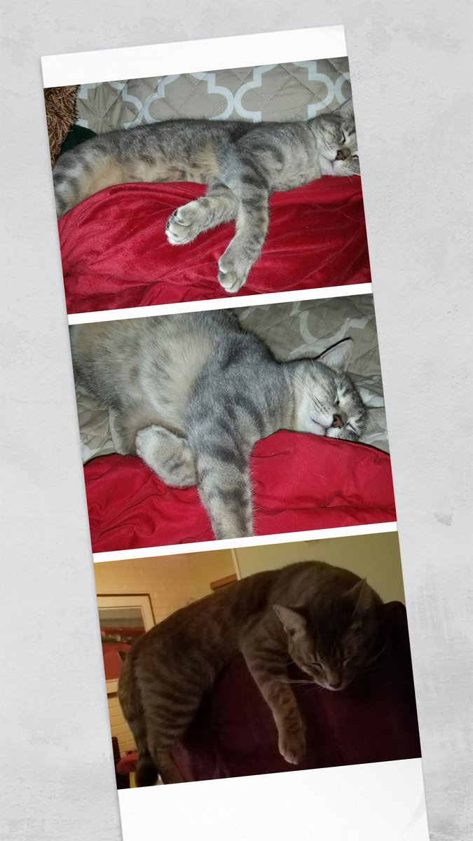 Zoey https://t.co/K984jtXqZ6