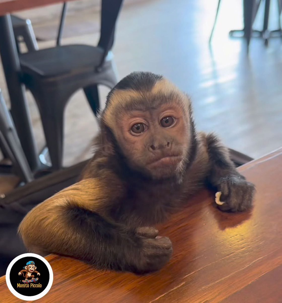 germano_ka's tweet image. Eu posso estar te vendo assim e não te escutando: