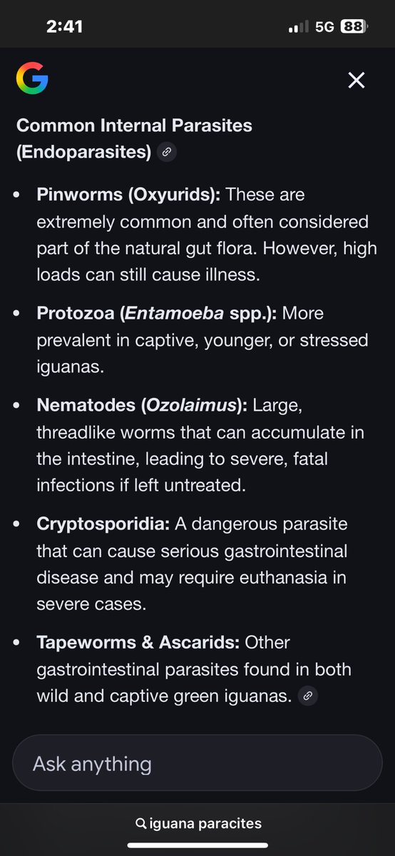 mikeforeman2038 tweet media