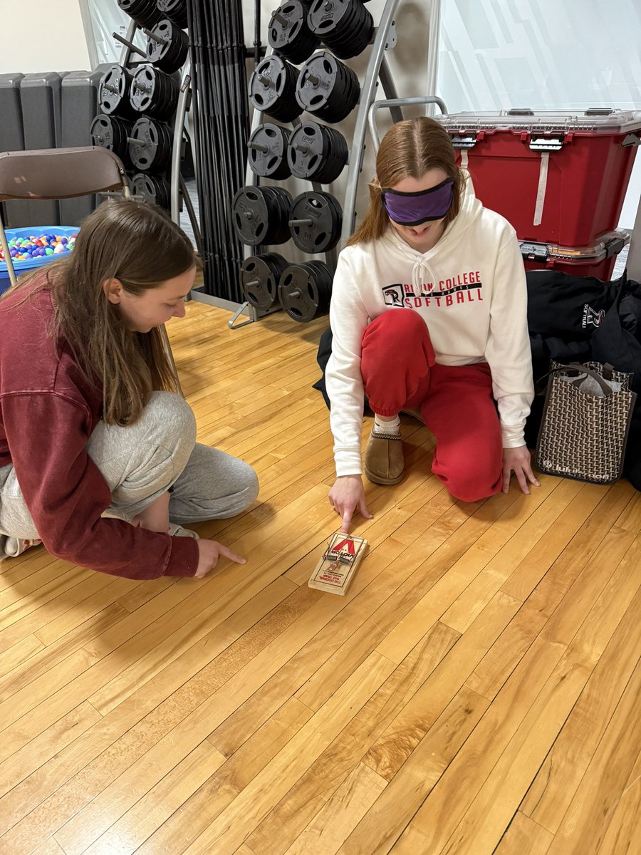 RiponCollegeSoftball tweet media