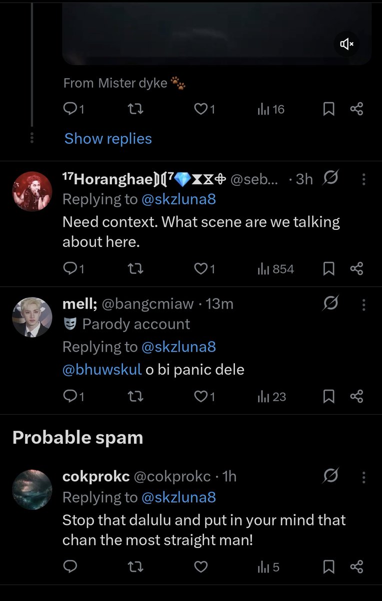 skzluna8's tweet image. calling chn straight?...wow okay