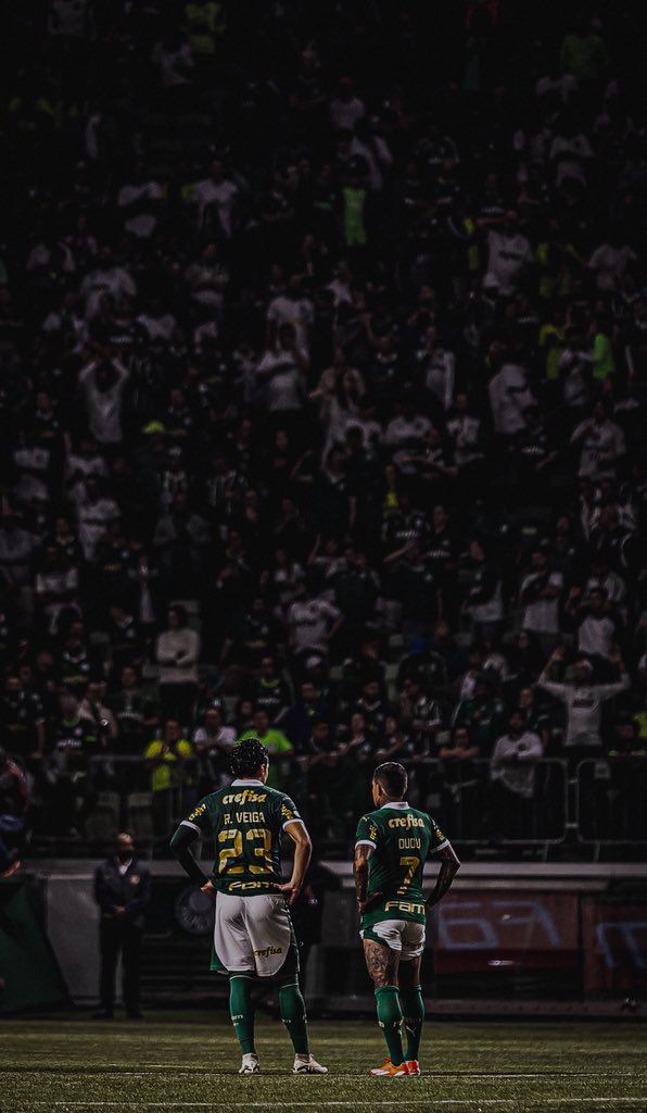 picmeiras tweet media