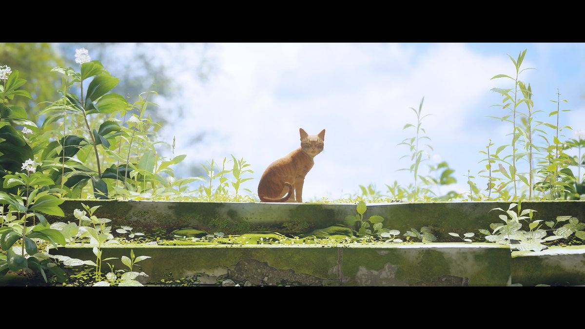 myb_izzy's tweet photo. 9 lives weren't enough for this masterpiece. 
#Stray #StrayGame #PlayStation https://t.co/aapB1f9O2F