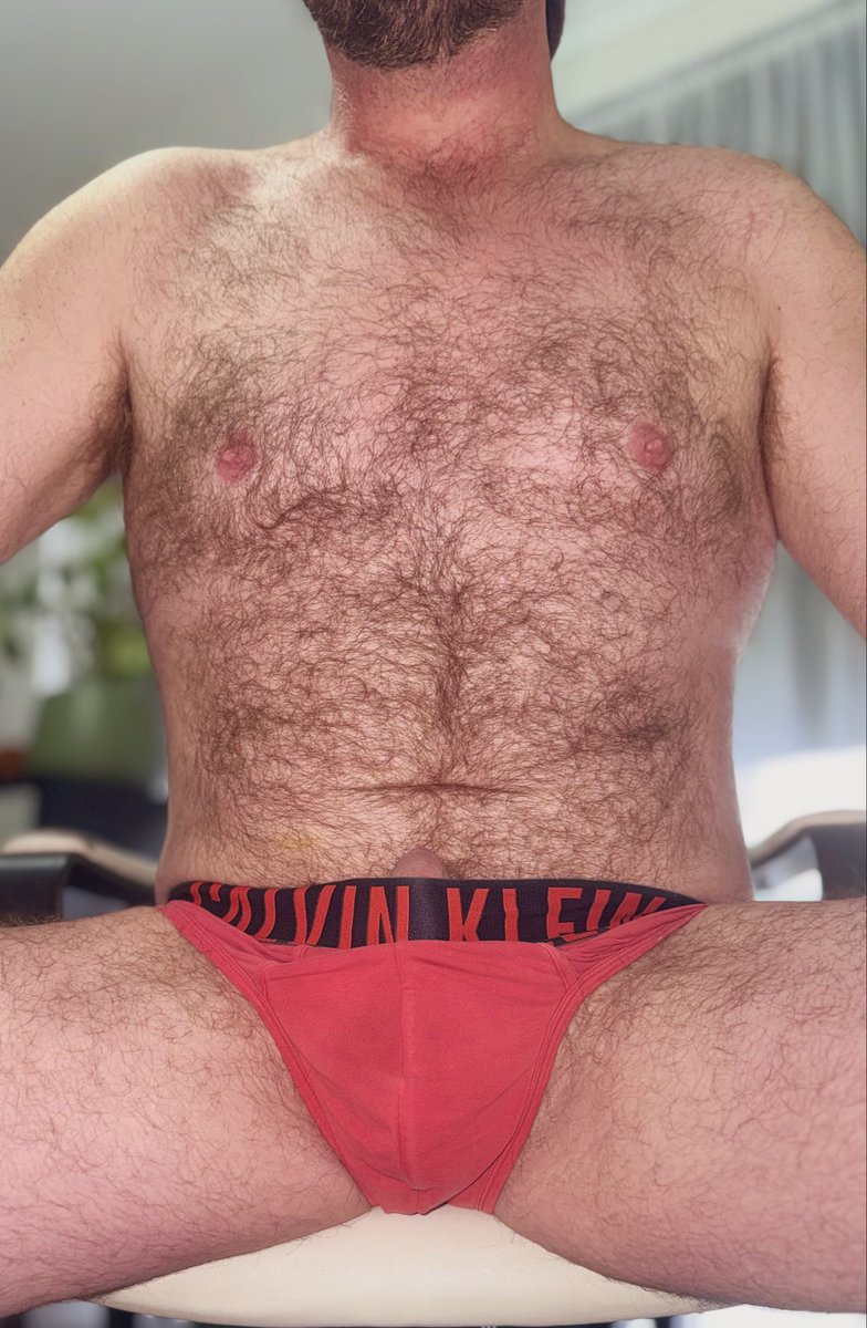 AusGayBear tweet media