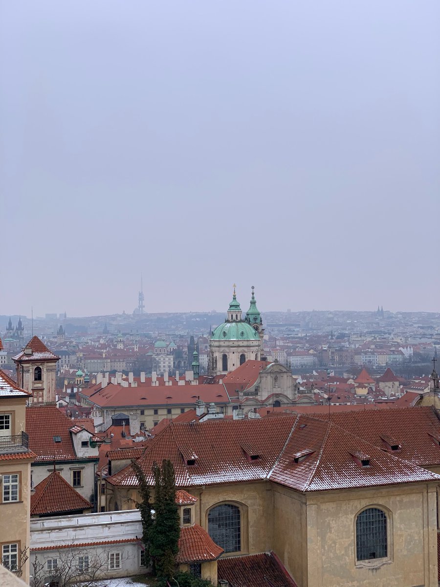 juju(박사님) tweet media