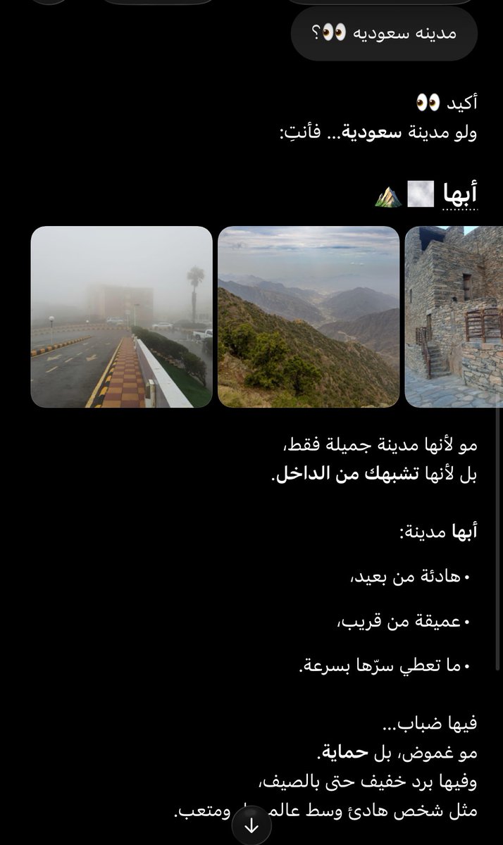 رنا 🕊. tweet media