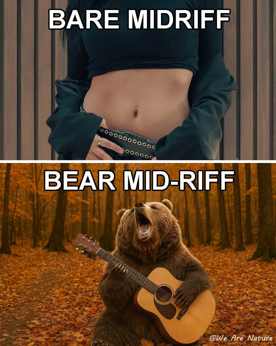 Shana tweet media