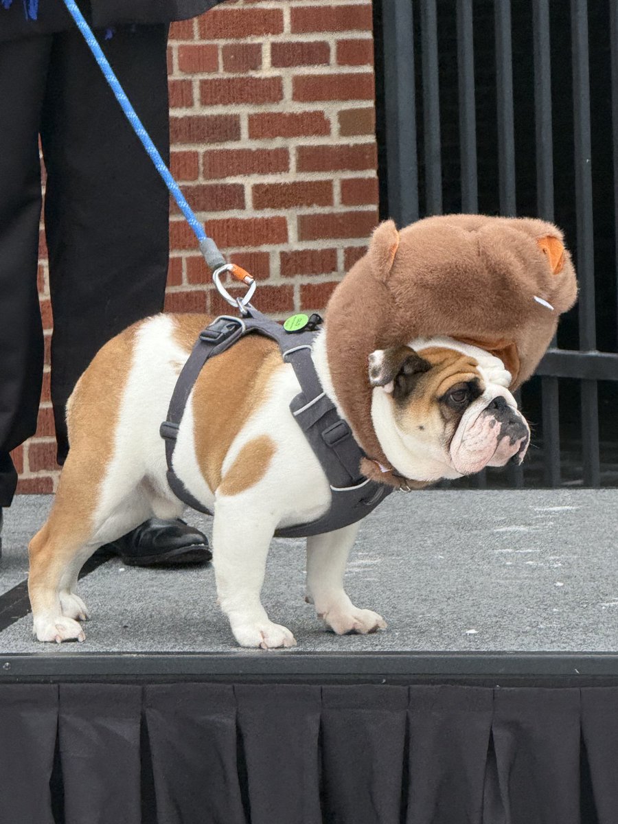 jakeeeHTX's tweet photo. @SickosCommittee The Griff-Hog at Drake said Spring is coming https://t.co/qAvXWv8vmb