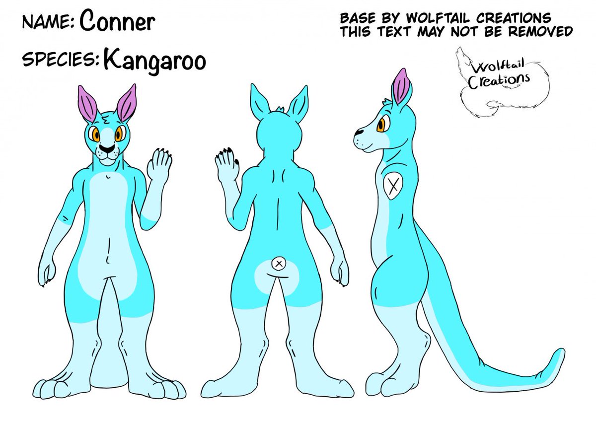 i officially made a new Fursona!!!

Say Hello To Conner