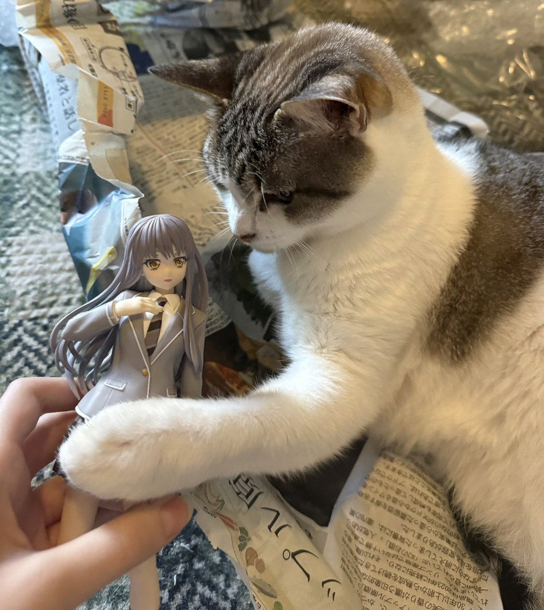 にゃーんちゃん…！