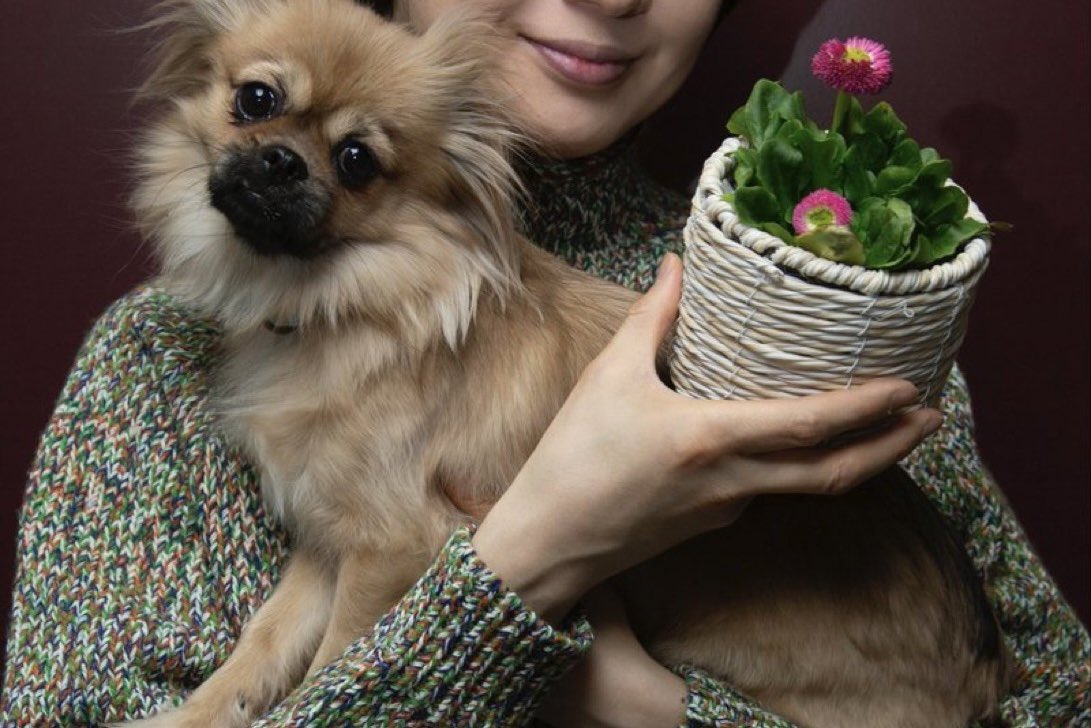 <a href="/takeshima_staff/">竹島宏 Hiroshi Takeshima【公式】</a> 宏くん❤️おはよう(*´∇｀*)ﾉ
＂デイジー＂
花言葉は〜「希望」youtube節分生配信
ツイキャス生配信🎶
再度youtube生配信
お疲れ様でした😊
恵方巻き❤️美味しかったですか😋
一緒に食べる、企画、楽しかったです。

宏くんとデイジー（kママ)🐶
可愛いい❤️
フォトありがとう😊
 #竹島宏
 #希望🙋‍♀️