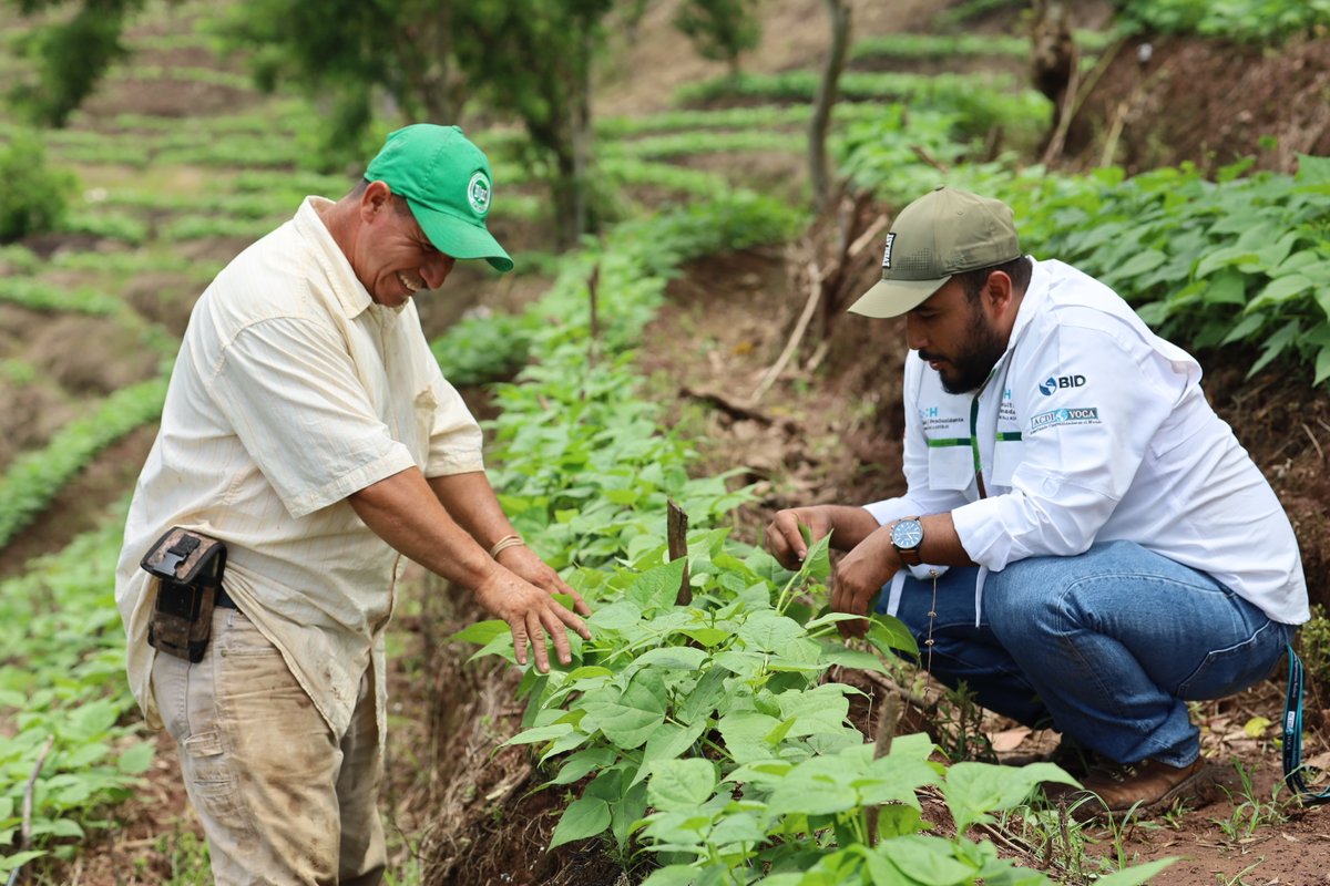 ACDI/VOCA tweet media