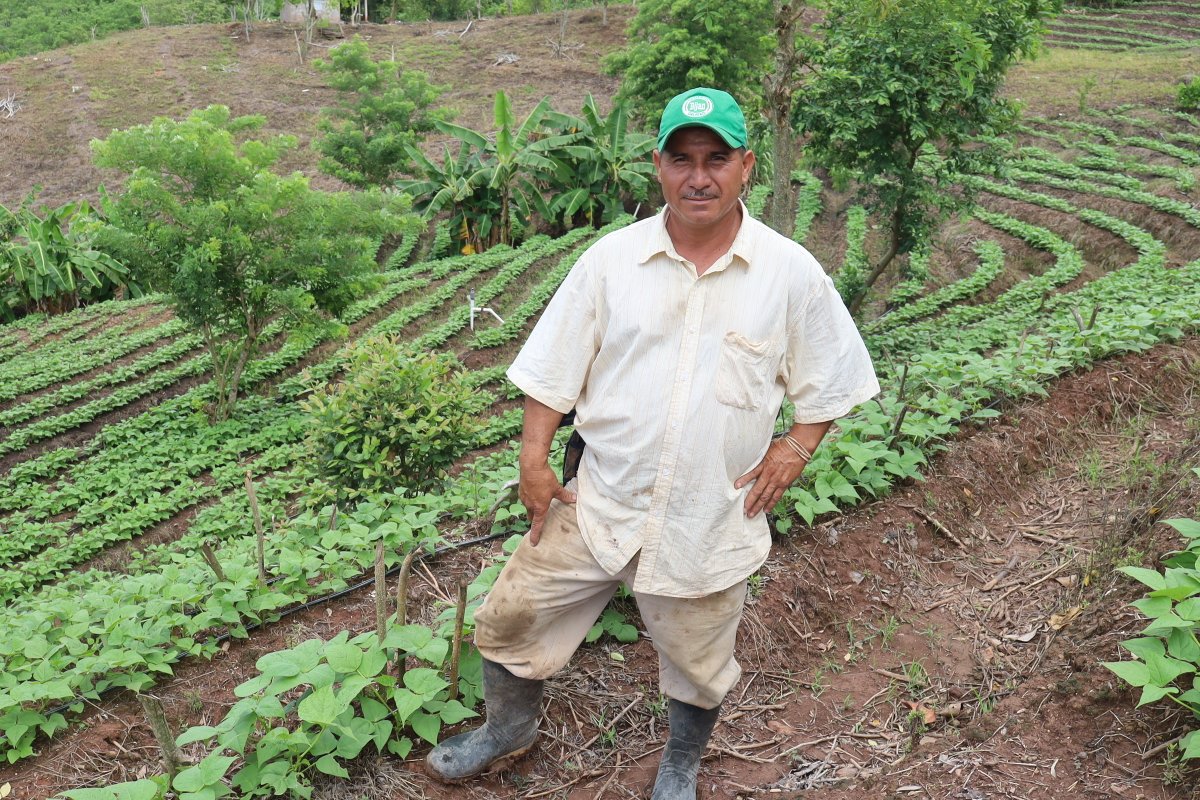 ACDI/VOCA tweet media