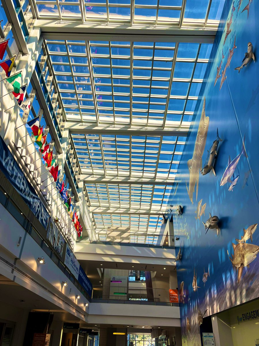 GA College Counseling tweet media