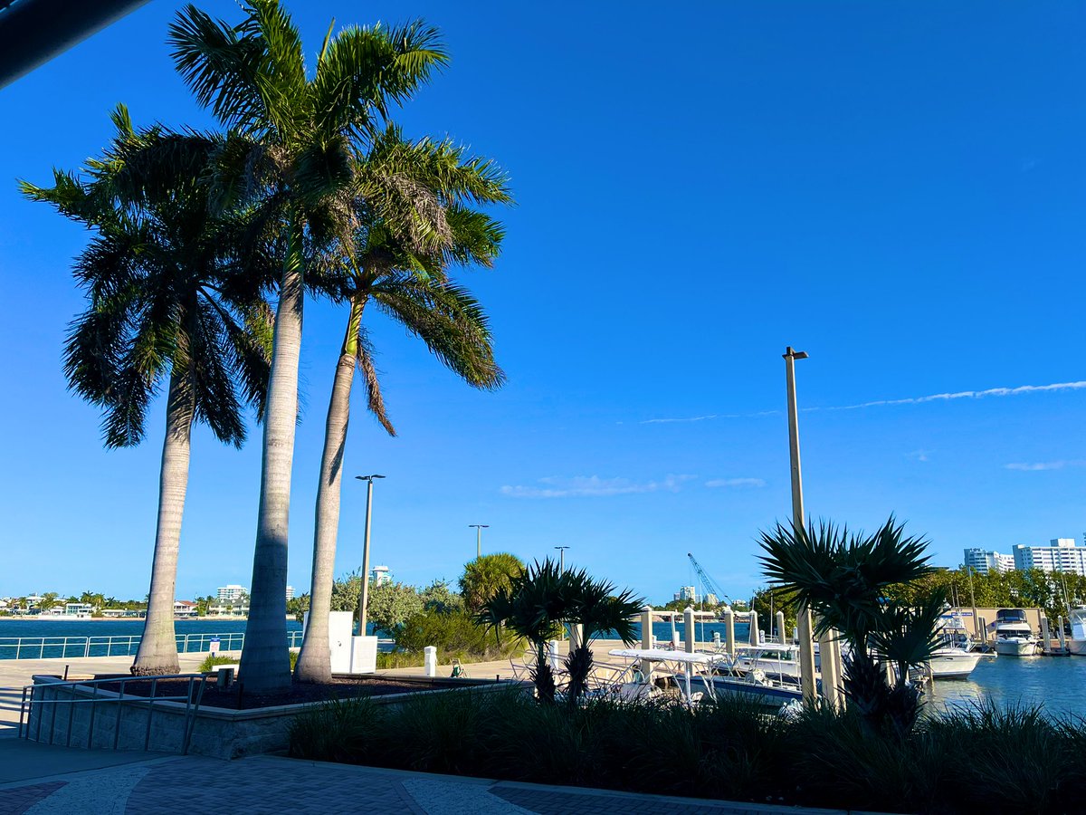 GA College Counseling tweet media