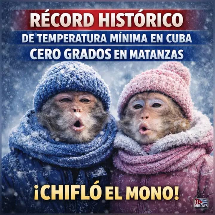 DiarioMayabeque's tweet image. 🥶🥶Marcadas condiciones invernales distinguieron al archipiélago cubano los últimos días del mes de enero y principios de febrero, como se dice en el argot popular “Chifló el mono” y de qué manera. 
#FrenteFrio #RECORDNACIONAL 
#Mayabeque 
facebook.com/share/p/1DcRKN…