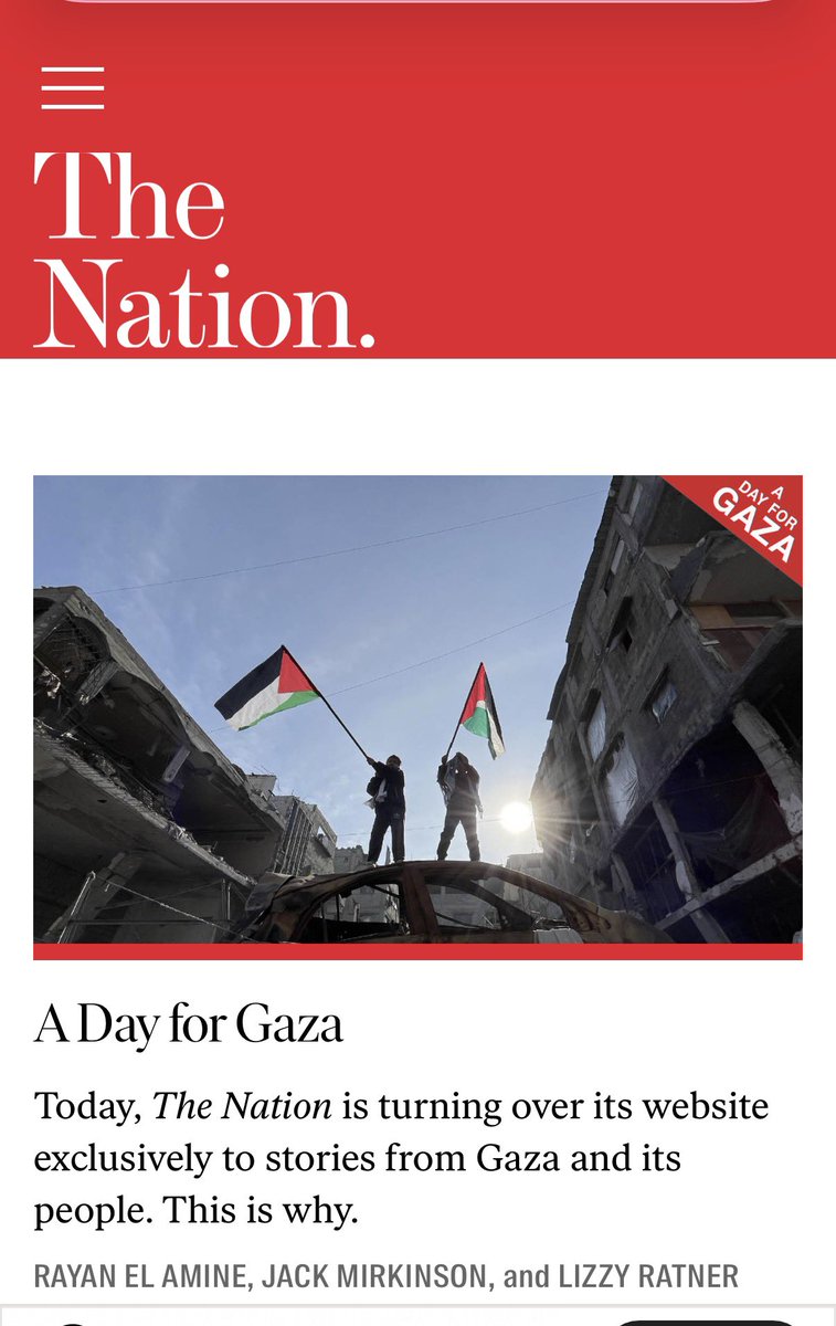 Laila Al-Arian tweet media