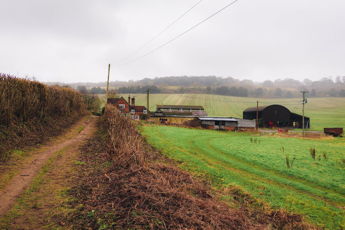 systole_'s tweet image. Winter is about losing yourself in the misty hills