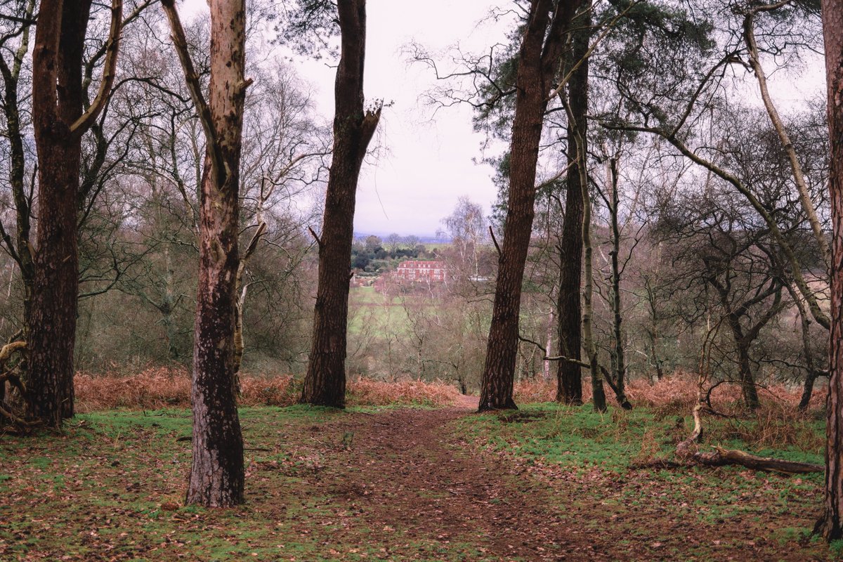 systole_'s tweet image. Winter is about losing yourself in the misty hills