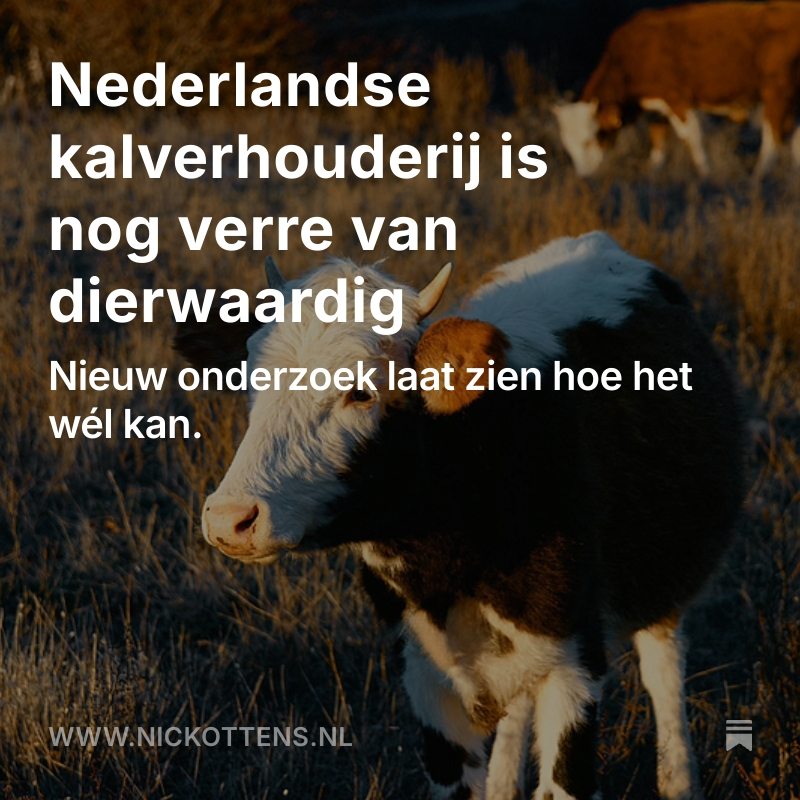 Nick Ottens tweet media