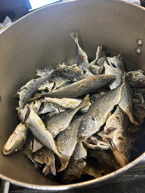 おはようございます☺️
本日2/4（水）下記の限定を販売いたします。
『つばす煮干しのさっぱりとした味噌らぁめん』
是非ご賞味ください😌