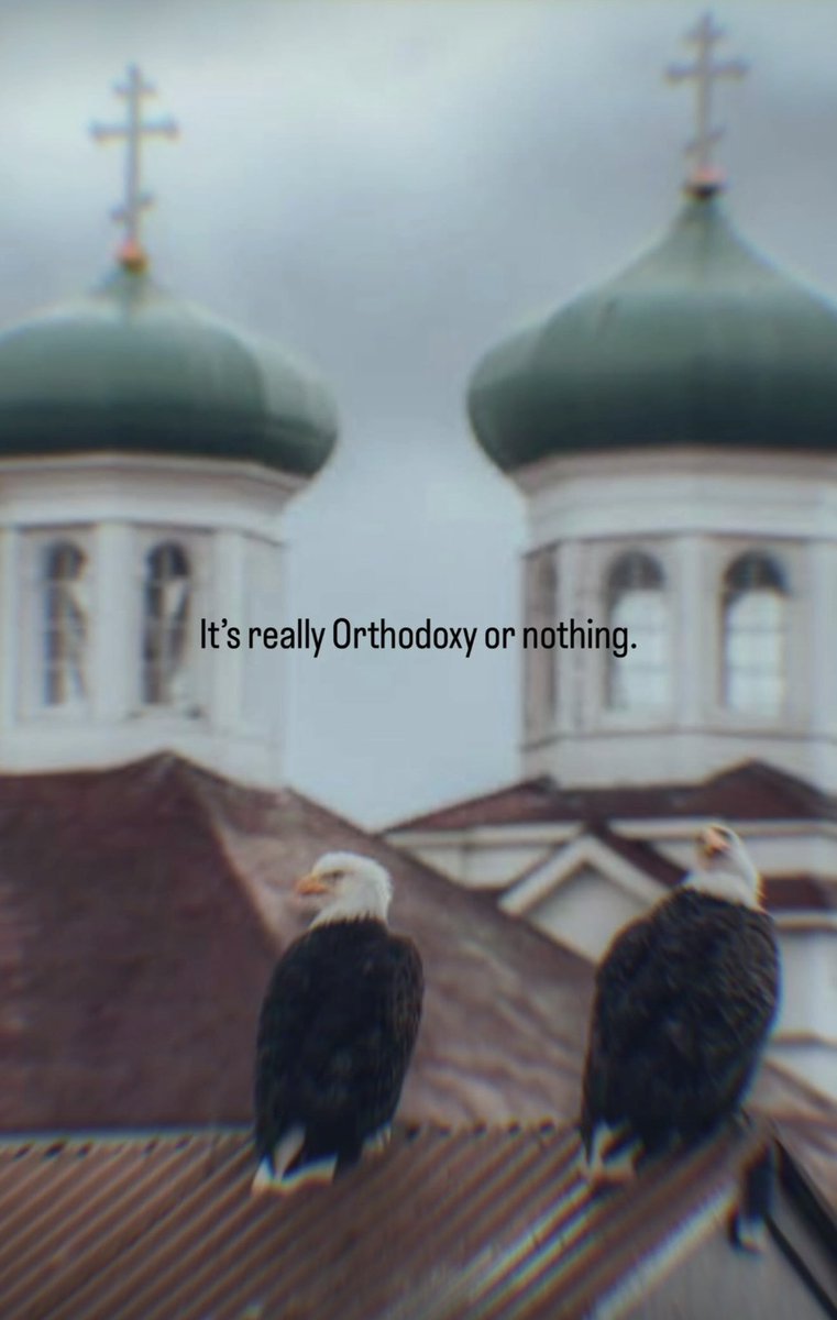 luigi (@orthodoxluigi) on Twitter photo 