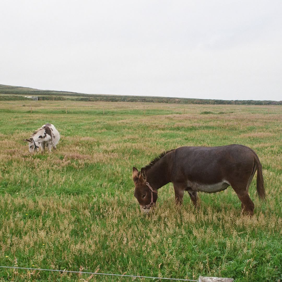 DistortedFilms tweet media