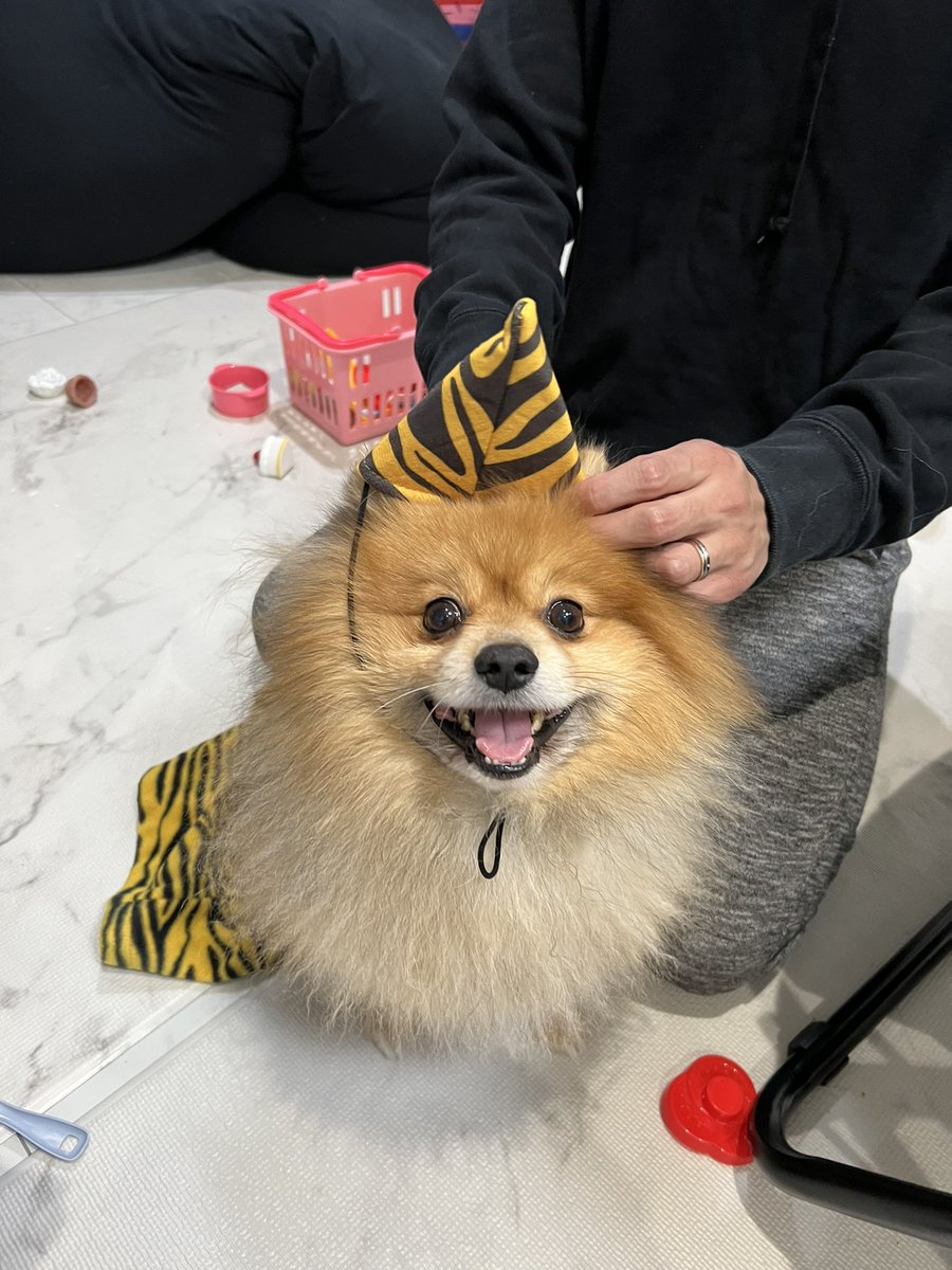 ちゅけ。 (@yumusic__) on Twitter photo 