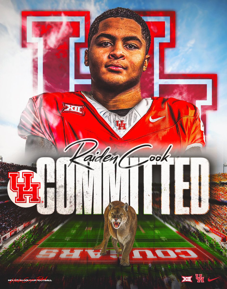 Raiden cook tweet media