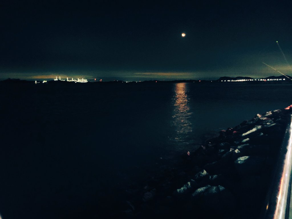 아아 먹을거 잔뜩 싸들고 바다가서 원투 던져놓고 텐트 안에서 멍때리고 싶다