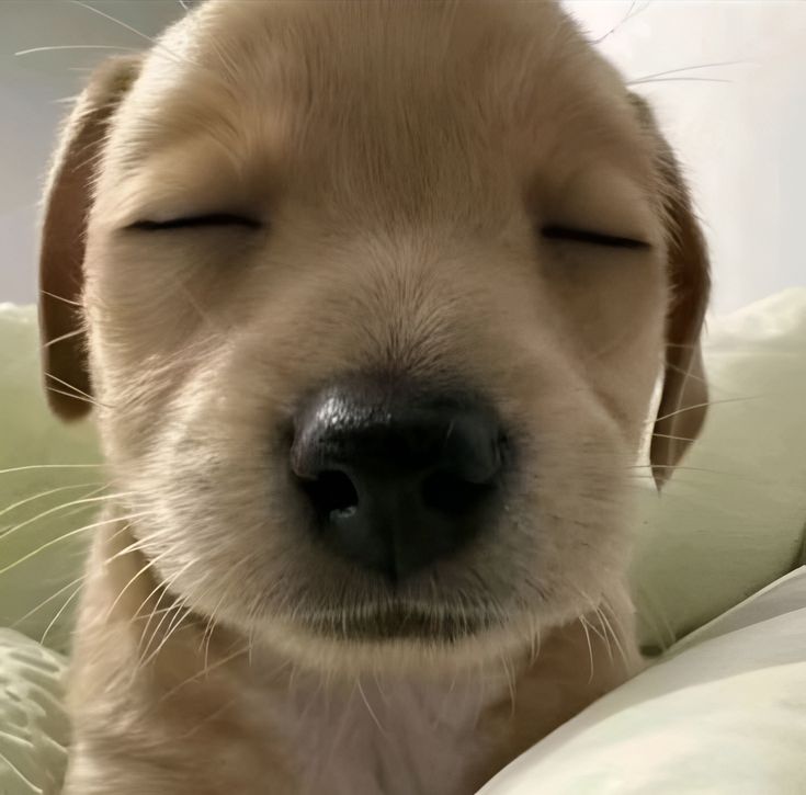 jkozao's tweet image. esperando a mensagem que nao vai chegar nessa porra