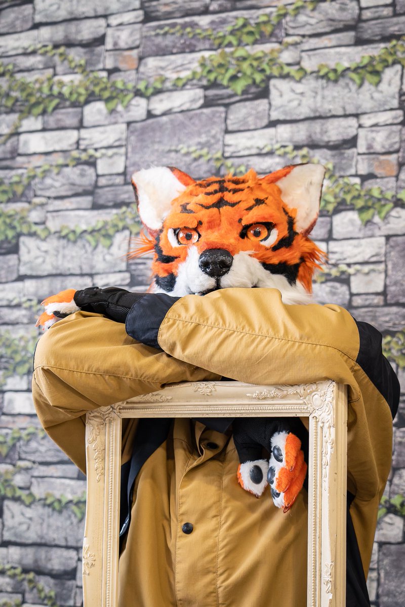 オレもカッコイイって言われたいぞ🐯✨️

📸:<a href="/mono4zuka/">ものし塚🐂</a> 
#Rametuikor
#FursuitEveryday