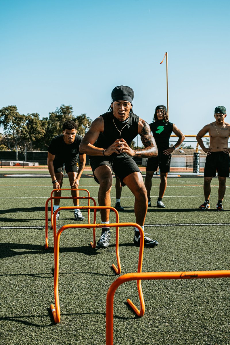 James Rose tweet media