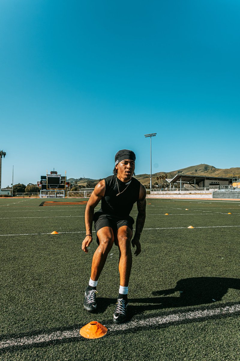 James Rose tweet media