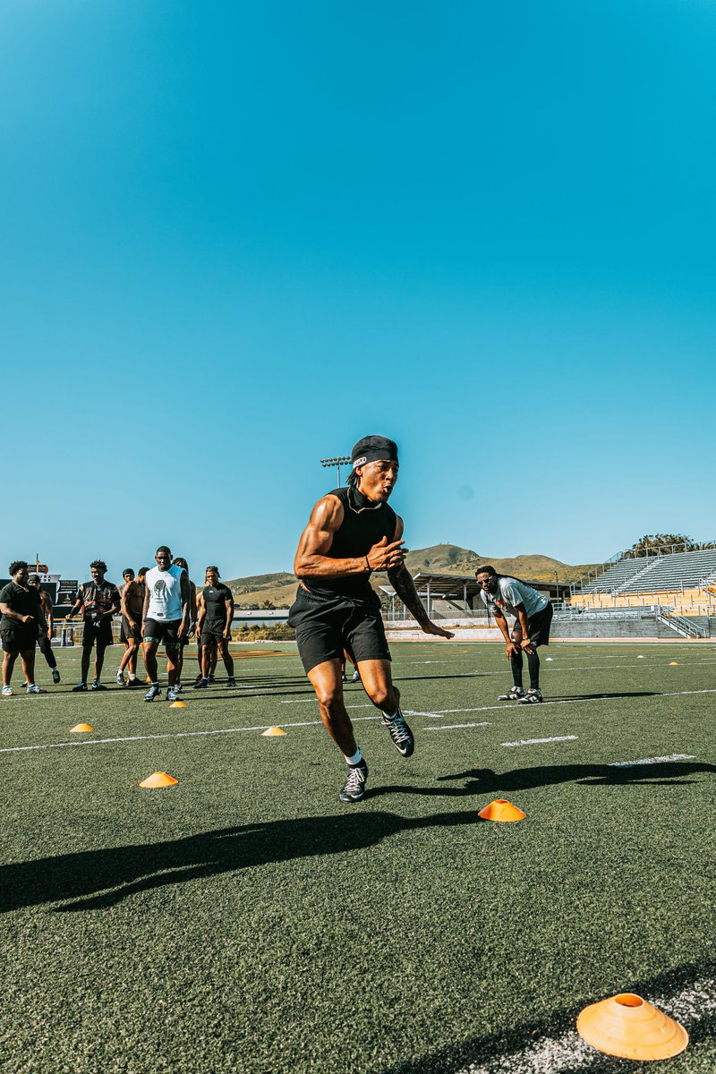 James Rose tweet media