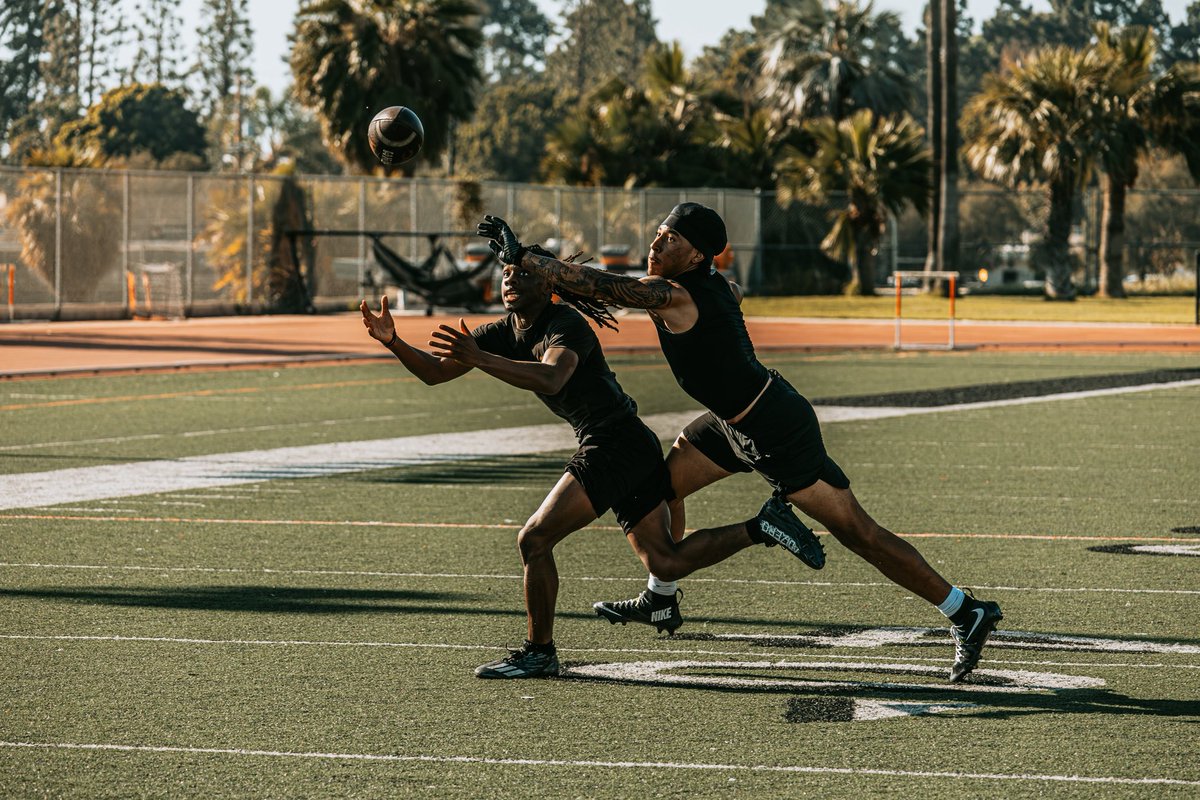 James Rose tweet media